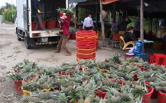 Kết nối cung - cầu sản phẩm nông nghiệp "chuẩn" và nhanh hơn nhờ công nghệ