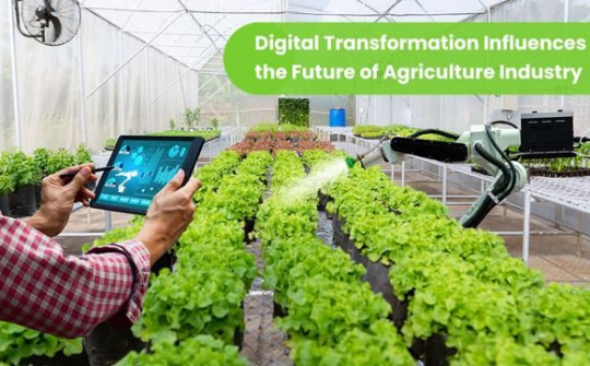 Nông dân gặp khó khi bán hàng trên môi trường số