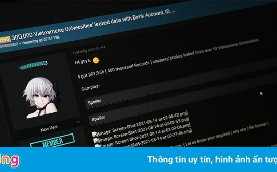 Hacker rao bán hồ sơ của 300.000 sinh viên các trường đại học Việt Nam