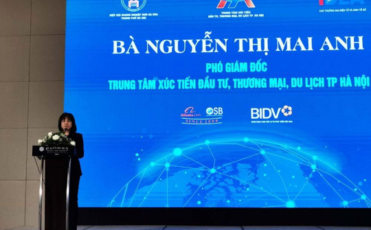 Nâng cao năng lực xuất khẩu cho DN qua TMĐT xuyên biên giới