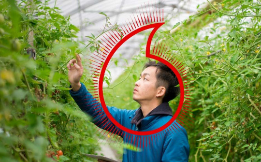 Phát triển bền vững: Khoảng cách giữa nhận thức và hành động