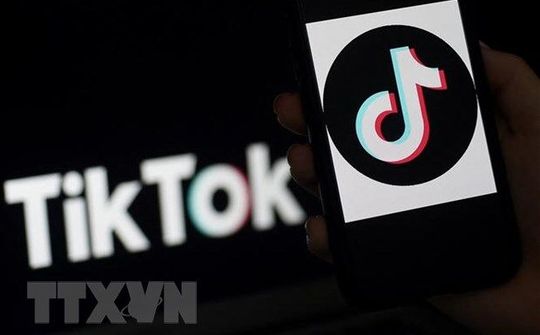 Meta chi bộn tiền thực hiện chiến dịch nhằm giảm sức hút của TikTok