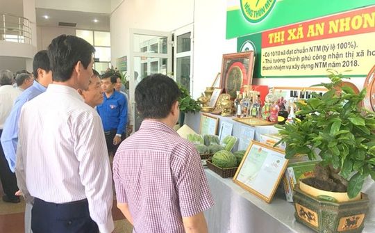 Bình Định: Chuỗi sự kiện Kết nối cung cầu hàng Việt sẽ diễn ra trong 2 ngày tới
