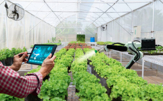 Ứng dụng IoT: Xu hướng tương lai của doanh nghiệp