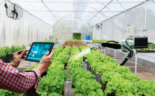 Ứng dụng IoT: Xu hướng tương lai của doanh nghiệp