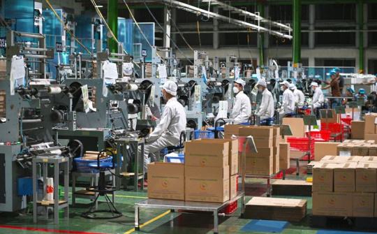AnEco: Hành trình đưa sản phẩm xanh Made-in-Vietnam ra thế giới
