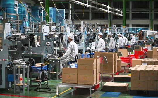 AnEco: Hành trình đưa sản phẩm xanh Made-in-Vietnam ra thế giới