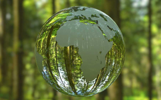 Chuyển đổi hệ thống lương thực phục vụ phát triển bền vững