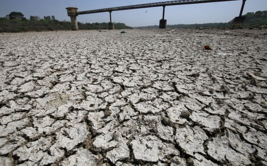 Ấn Độ tăng cường trí tuệ nhân tạo trong dự báo thời tiết