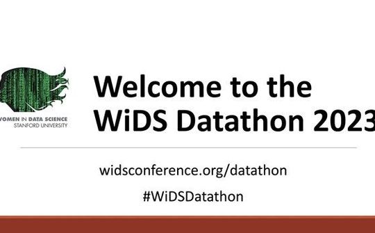Sinh viên Việt Nam lọt top cuộc thi về khoa học dữ liệu WiDS Datathon