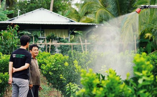 Tôn vinh nông sản Việt bằng trải nghiệm tích cực từ thương mại điện tử