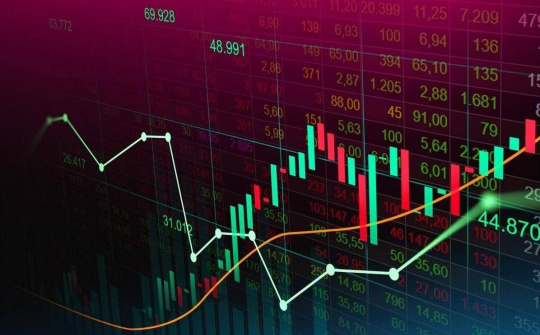 Sàn forex và website cá cược quốc tế công khai hoạt động tại Việt Nam