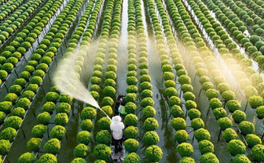 Thúc đẩy chuyển đổi số ngành nông nghiệp bằng hệ thống VNPT AIMS