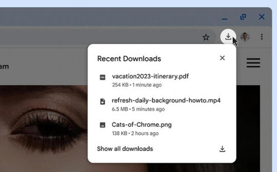 Trình duyệt Google Chrome loại bỏ thanh tải xuống