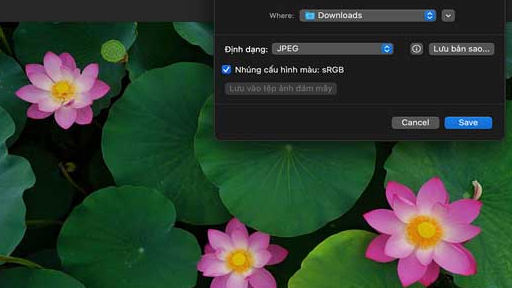 Adobe bắt đầu hỗ trợ tiếng Việt cho Photoshop