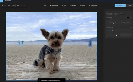 Trí tuệ nhân tạo giúp nâng tầm ứng dụng Windows Photos