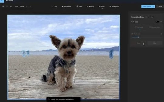 Trí tuệ nhân tạo giúp nâng tầm ứng dụng Windows Photos