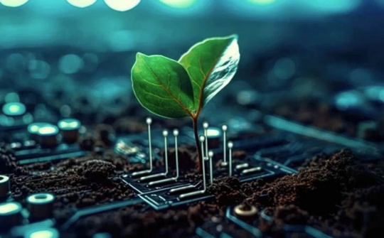 AI tạo sinh khiến lượng khí thải carbon tăng gấp ba lần