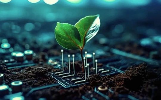 AI tạo sinh khiến lượng khí thải carbon tăng gấp ba lần
