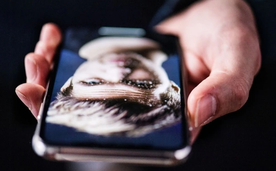 Người dùng iPhone nhận cảnh báo về chiêu trò lừa đảo mới