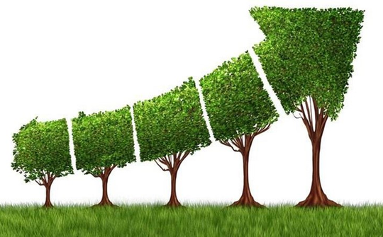 Chiến lược Tăng trưởng Xanh và những "bài toán khó" đặt ra
