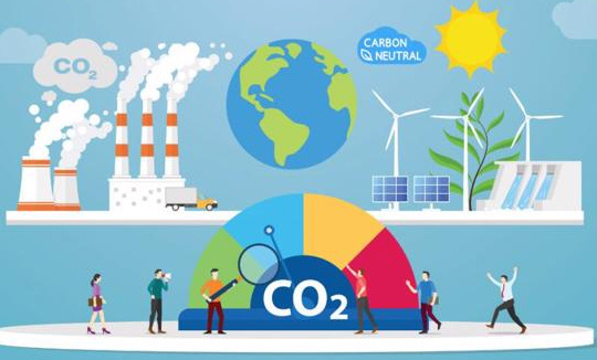 Phát triển thị trường carbon để thúc đẩy chuyển đổi xanh