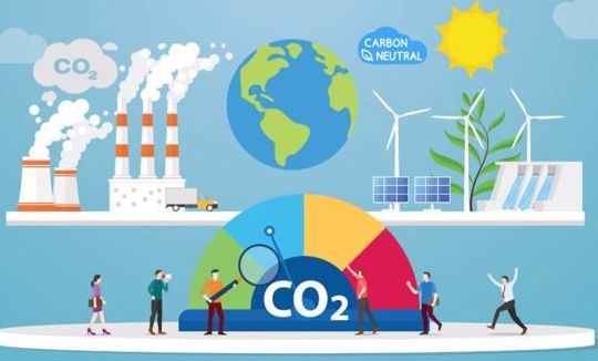 Phát triển thị trường carbon để thúc đẩy chuyển đổi xanh