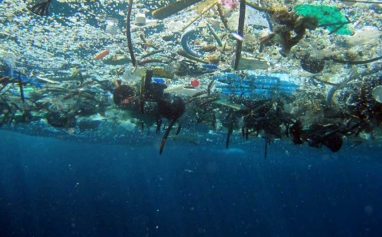 Đại học Monash phát triển công cụ AI chống ô nhiễm vi nhựa