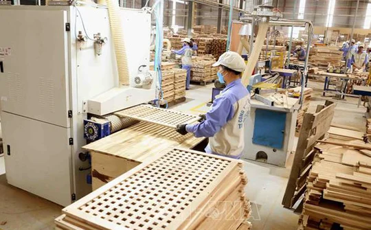 Năm 2029, xuất khẩu ngành nội thất và thời trang Việt Nam có thể đạt 110 tỷ USD nhờ TMĐT