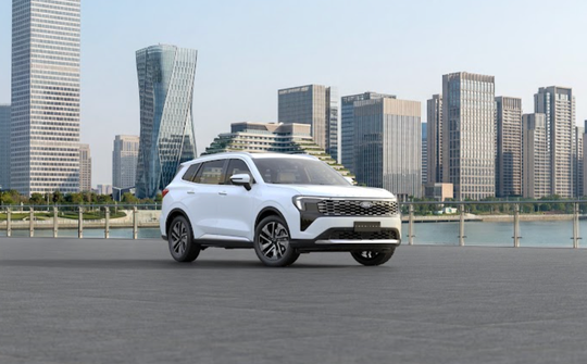 Ford Territory Platinum 2026 giá 916 triệu đồng