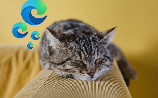 Trình duyệt Edge giúp giảm tiêu thụ bộ nhớ