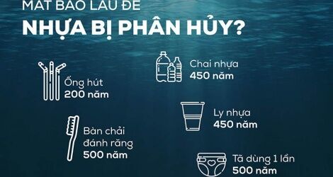 Sự nguy hại của nhựa tự hủy OXO đe dọa phát triển bền vững