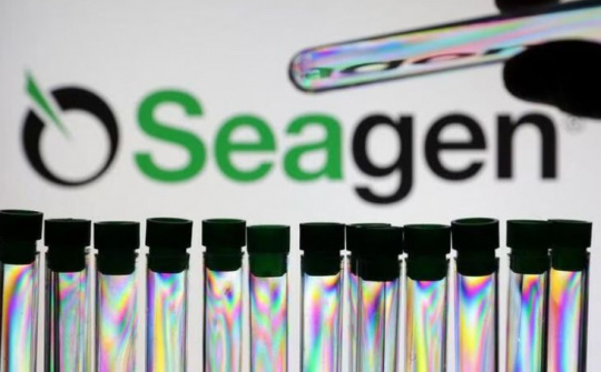 Pfizer bắt đầu đàm phán mua lại hãng dược phẩm Seagen