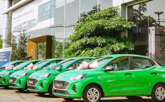Tập đoàn Mai Linh công bố chính thức cắt lỗ