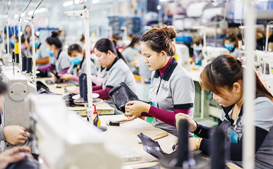 Kêu gọi doanh nghiệp tuyển dụng lao động mất việc