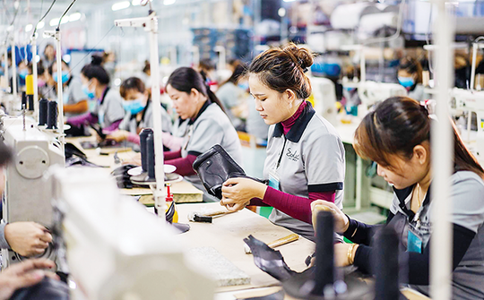 Kêu gọi doanh nghiệp tuyển dụng lao động mất việc