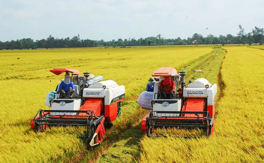 Nguy cơ lạm phát cao theo đà tăng giá gạo ở châu Á