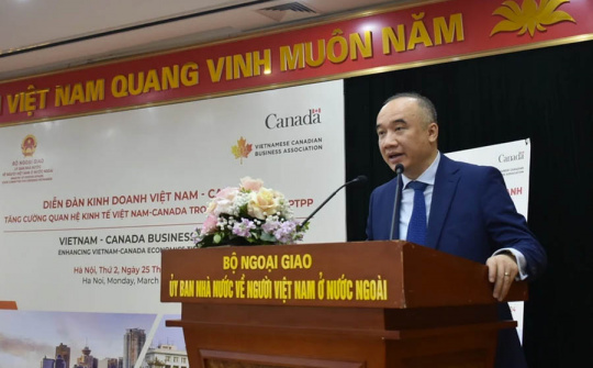 Tiềm năng và cơ hội xuất khẩu sản phẩm Việt Nam vào thị trường Canada