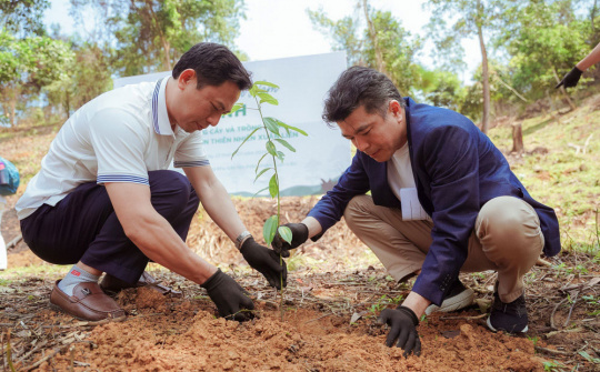 Panasonic tích cực chung tay tăng cường tín chỉ carbon rừng ở Việt Nam