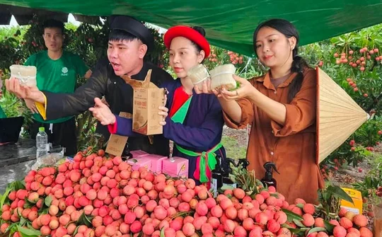 Thúc đẩy tiêu thụ nông sản trên nền tảng số