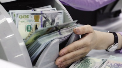 USD sẽ giảm sớm hơn dự báo, tốc độ tăng lãi suất giảm dần vào cuối năm