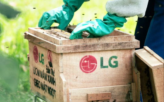 LG triển khai chương trình đại sứ cộng đồng 2025