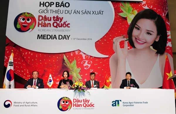 hàn quốc, nông nghiệp công nghệ cao, ứng dụng CNTT vào nông nghiệp, nông sản, Hợp tác Việt Nam - Hàn Quốc, Dâu Tây Hàn Quốc, Miu Lê,