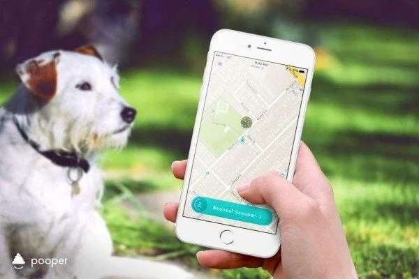 pooper ứng dụng nhặt phân chó