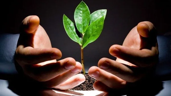 đầu tư mạo hiểm, tech startup, startup công nghệ, Startups Việt Nam, CyberAgent Ventures,