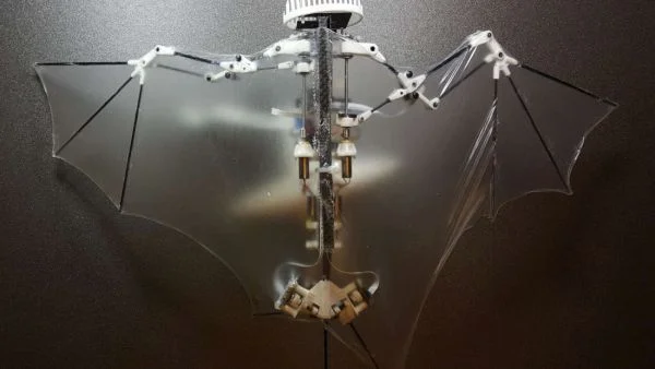 BatBot: Drone thế hệ mới dựa trên nền tảng mô phỏng sinh học