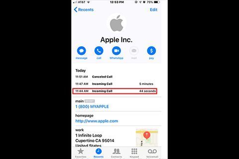 Hình ảnh cho thấy cuộc gọi đến từ Apple, nhưng là giả mạo