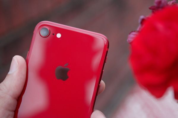 iPhone SE 2 sẽ được ra mắt trong quý I/2020 với mức giá 399 USD