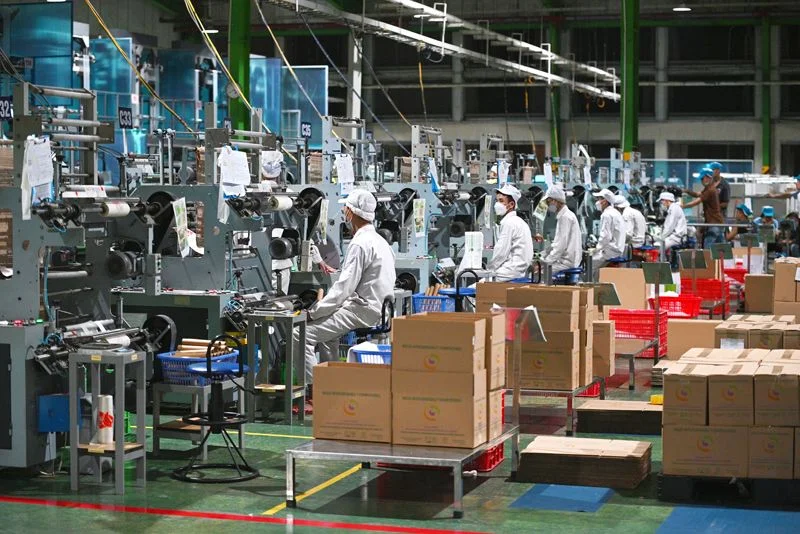 AnEco: Hành trình đưa sản phẩm xanh Made-in-Vietnam ra thế giới