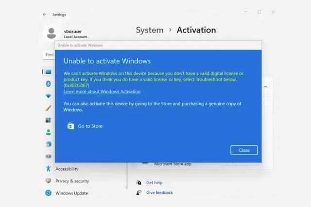 Windows 11
